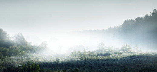 现代人如何做到全营养均衡饮食-