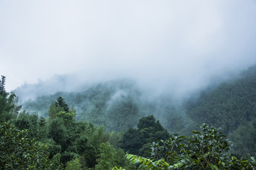 34万国产车推荐